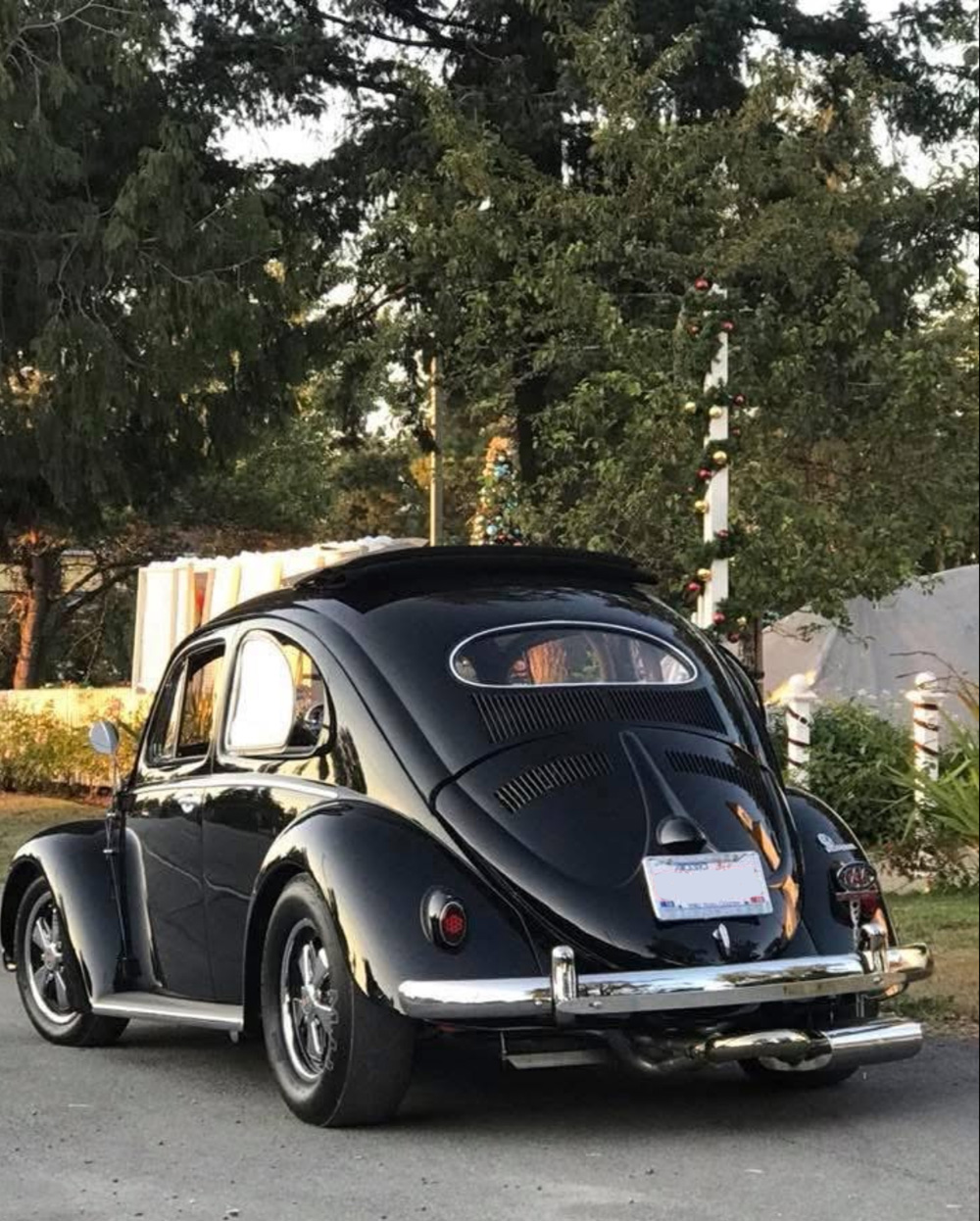 Oval Window Bug shines in the sun