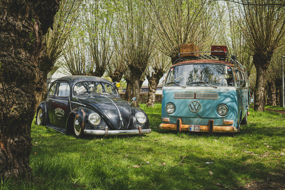 Classic Volkswagen Beetle and VW Bus parked at a summer VW show