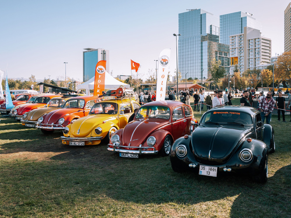 Lineup of colorful Beetles at outdoor show with banners and city buildings