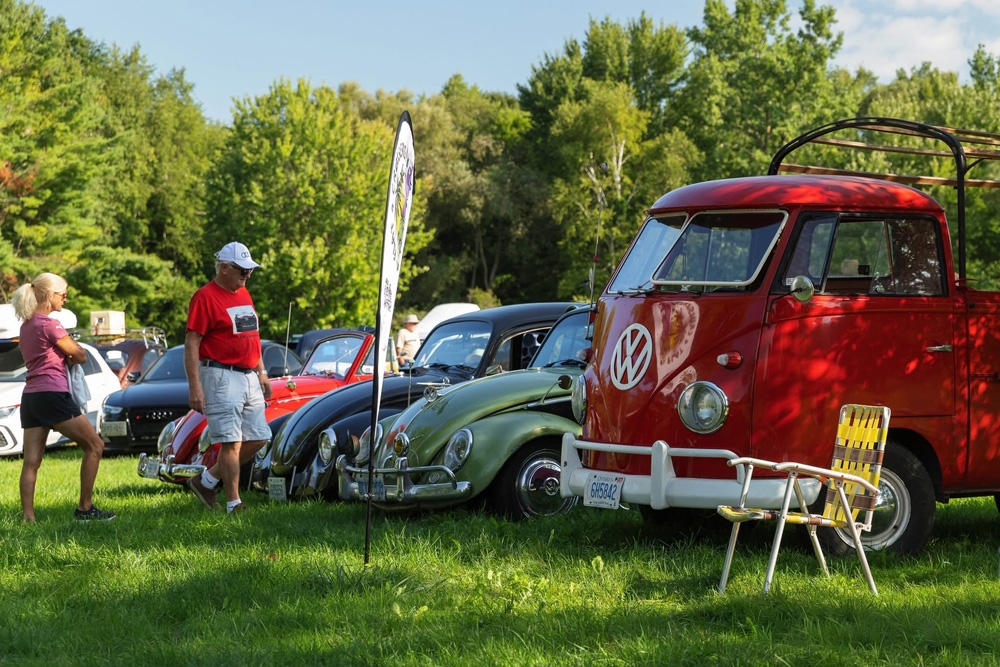 Lineup of classic Volkswagen Beetles parked on grass at VW Legends 2026, showing a mix of bright colours and well maintained vintage cars under sunny skies