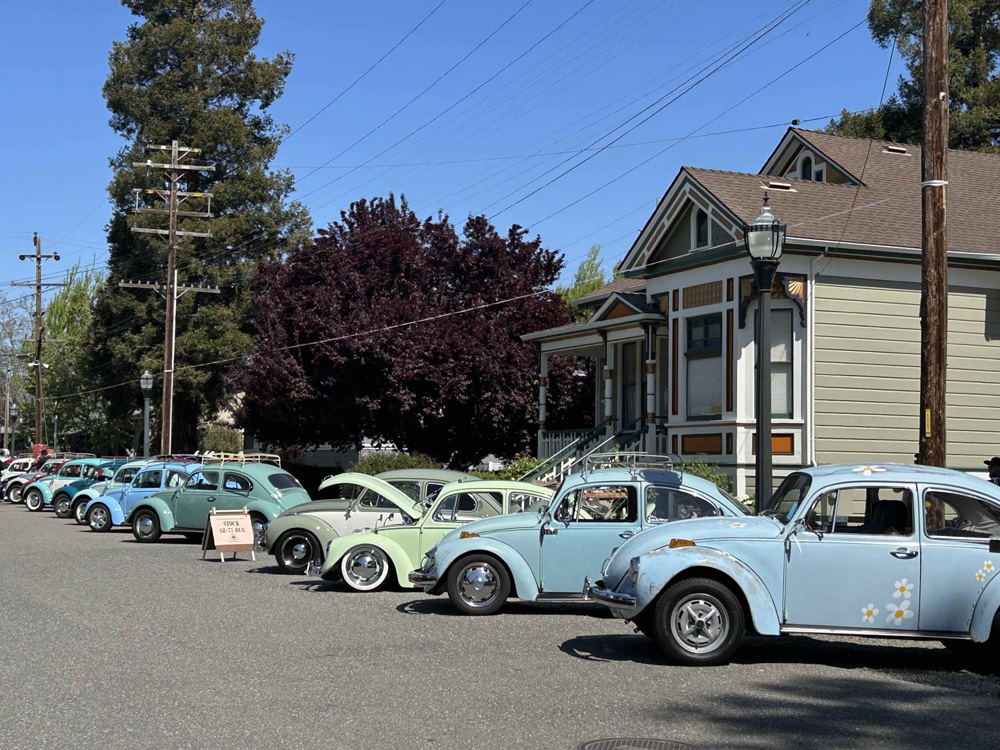 Kelly Park 40th Anniversary - Spring Meet