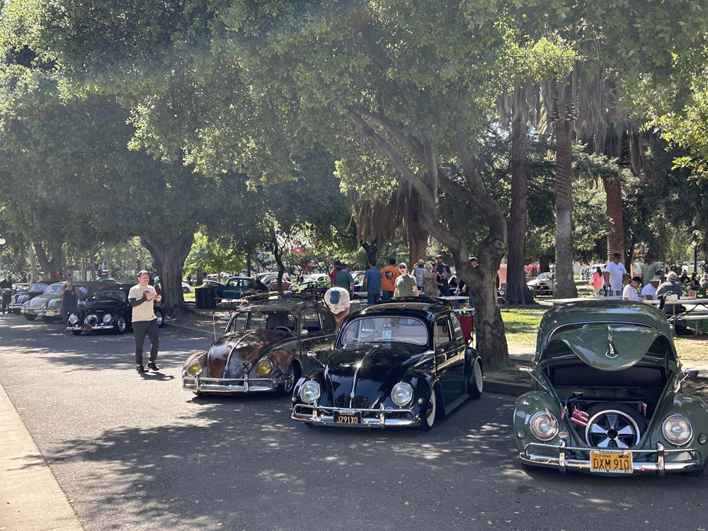 Three VW Beetles in a row at the show