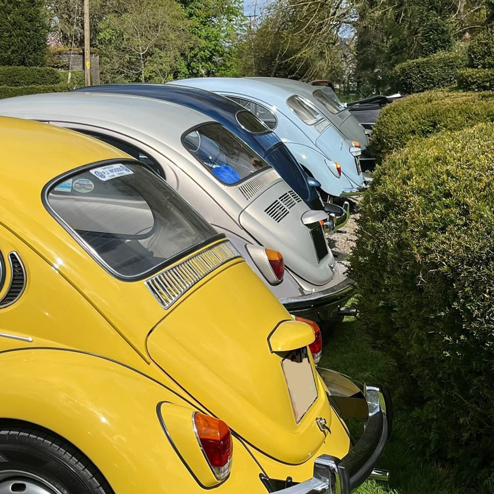 VW Beetles lined up in a row