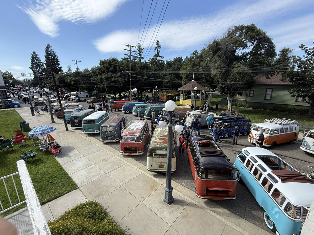Vintage VW buses lined up along the road at the Kelley Park Spring Meet.