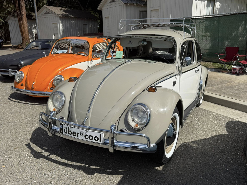 Air-cooled Volkswagen Beetles on display at the Kelley Park Spring Meet in San Jose.